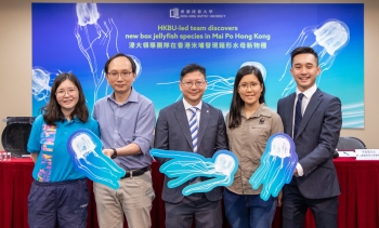 浸大領導團隊在香港米埔發現箱形水母新物種